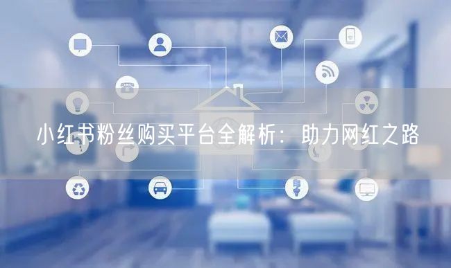 小红书粉丝购买平台全解析:助力网红之路