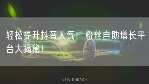 轻松提升抖音人气!粉丝自助增长平台大揭秘!