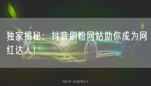 独家揭秘：抖音刷粉网站助你成为网红达人！
