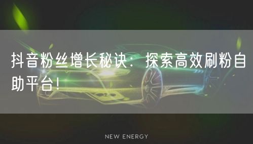 抖音粉丝增长秘诀:探索高效刷粉自助平台!