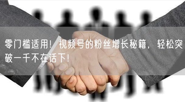 零门槛适用！视频号的粉丝增长秘籍，轻松突破一千不在话下！